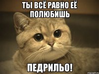 ты всё равно её полюбишь педрильо!