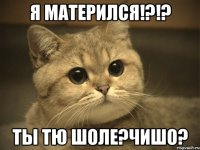 я матерился!?!? ты тю шоле?чишо?