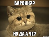 барсик?? ну да а че?