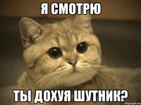 я смотрю ты дохуя шутник?