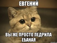 евгений вы же просто педрила ебаная