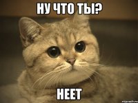 ну что ты? неет