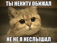 ты некиту обижал не не я неслышал