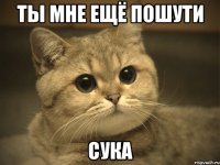 ты мне ещё пошути сука