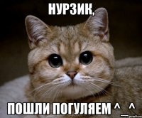 нурзик, пошли погуляем ^_^