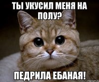 ты укусил меня на полу? педрила ебаная!