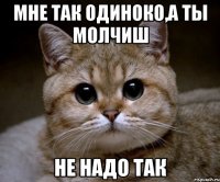 мне так одиноко,а ты молчиш не надо так