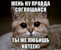 жень ну правда соглошайся ты же любишь котеек)