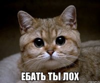  ебать ты лох