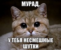 мурад, у тебя несмешные шутки