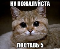 ну пожалуйста поставь 5