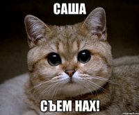 саша съем нах!