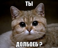 ты долбоеб ?