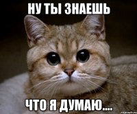 ну ты знаешь что я думаю....