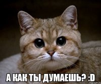  а как ты думаешь? :d