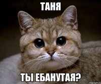 таня ты ебанутая?