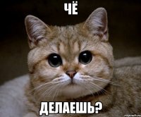 чё делаешь?