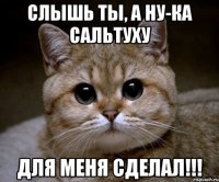 слышь ты, а ну-ка сальтуху для меня сделал!!!