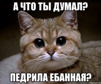 а что ты думал? педрила ебанная?