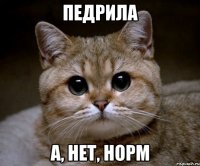 педрила а, нет, норм