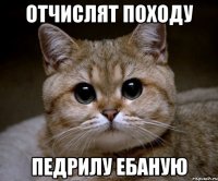 отчислят походу педрилу ебаную