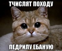 тчислят походу педрилу ебаную