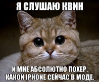 я слушаю квин и мне абсолютно похер, какой iphone сейчас в моде.