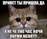 привет ты пришла да а не че уже час ночи корми меня!!!