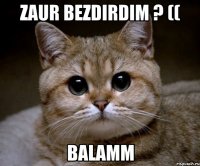 zaur bezdirdim ? (( balamm