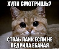 хули смотришь? стваь лайк если не педрила ебаная