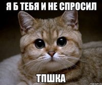 я б тебя и не спросил тпшка