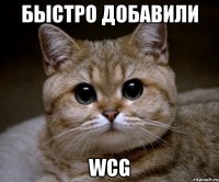 быстро добавили wcg