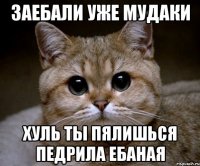 заебали уже мудаки хуль ты пялишься педрила ебаная