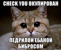 check you окупирован педрилой ебаной бибросом