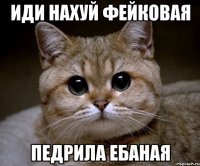 иди нахуй фейковая педрила ебаная