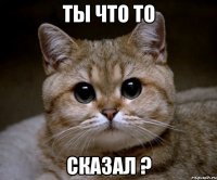 ты что то сказал ?