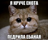 я круче енота педрила ебаная