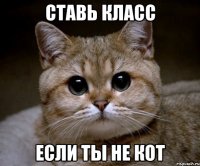 ставь класс если ты не кот