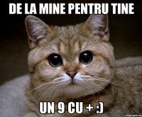 de la mine pentru tine un 9 cu + :)