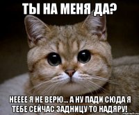 ты на меня да? нееее я не верю... а ну пади сюда я тебе сейчас задницу то надяру!