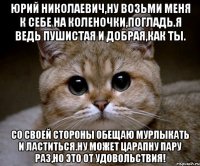 юрий николаевич,ну возьми меня к себе на коленочки,погладь.я ведь пушистая и добрая,как ты. со своей стороны обещаю мурлыкать и ластиться.ну может царапну пару раз,но это от удовольствия!