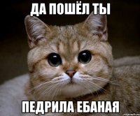 да пошёл ты педрила ебаная