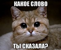 какое слово ты сказала?