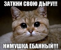 заткни свою дыру!!! нимушка ебанный!!!