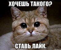 хочешь такого? ставь лайк.