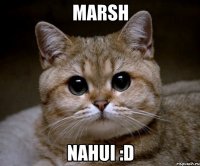 marsh nahui :d