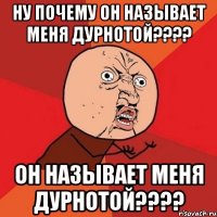 ну почему он называет меня дурнотой??? он называет меня дурнотой???