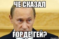 че сказал горде-гей?