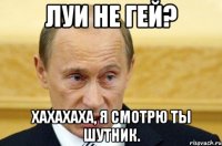 луи не гей? хахахаха, я смотрю ты шутник.