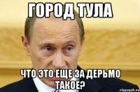 город тула что это еще за дерьмо такое?